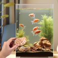 thumbnail image 2 of LEEYNEER 6pcs Conch Shells Large Hermit Crab Shells Beach Sea Shells Aquarium Conch Decors Aquarium Ornaments, 2 of 8