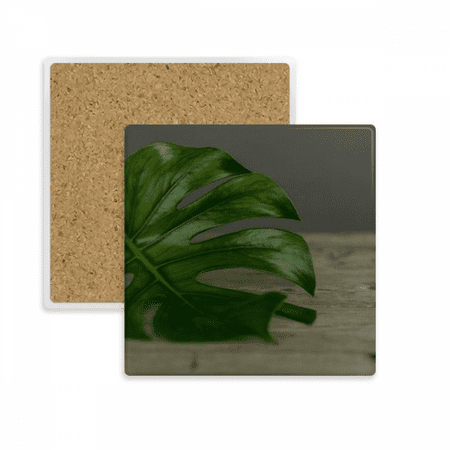 

Table Picture Nature Square Coaster Cup Mat Mug Subplate Holder Insulation Stone