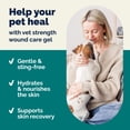 thumbnail image 4 of Vetnique Labs Dermabliss Vet Strength Antibacterial Wound Care Gel for Dogs & Cats, 1.5 oz, 4 of 8
