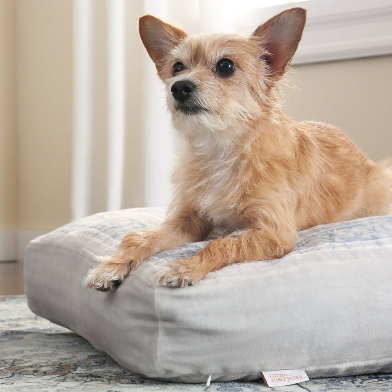 Dog Sitting Dog Bed Floor Cushion Large Indian Meditation Floor - Main Image