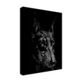 thumbnail image 2 of Trademark Fine Art 'Canine Scratchboard XIII' Canvas Art by Julie T. Chapman, 2 of 4