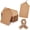 100pcs Brown, variant on 100pcs Gift Tags with String Attached, 1.7 x 2.8 inch Kraft Paper Hang Tags for Clothes DIY Crafts Wedding Holiday
