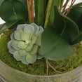 thumbnail image 3 of 29.5" White Orchid Arrangement in a Glass Vase| Real Touch White Moth Phalaenopsis Orchids by Fiori Sempre, 3 of 7