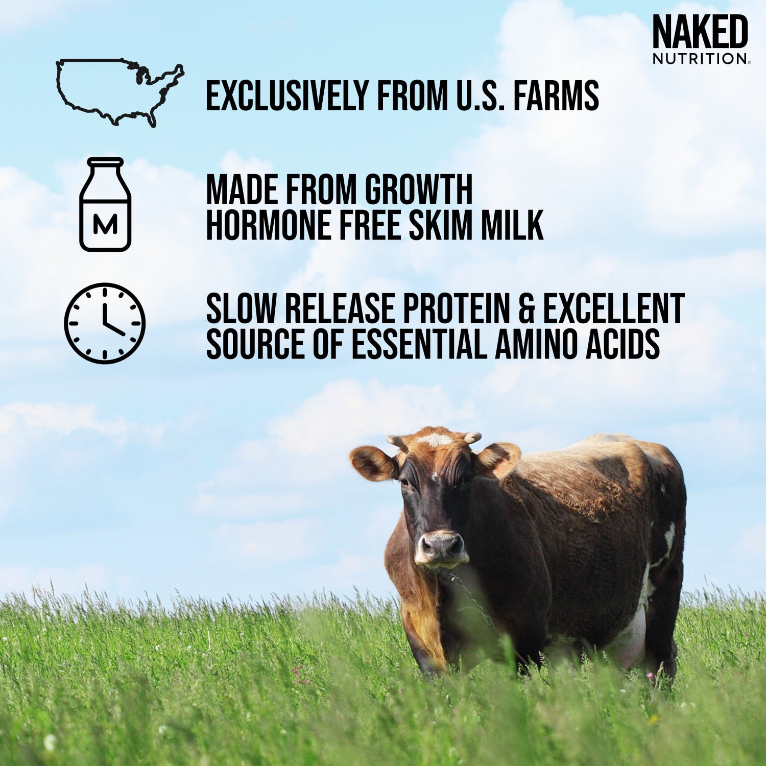 Naked Chocolate Casein - Chocolate Micellar Casein Protein - 5 Pound Bulk, Gmo-Free, Gluten-Free, Soy-Free, Preservative-Free - Stimulate Muscle Growth - Enhance Recovery - 60 Servings
