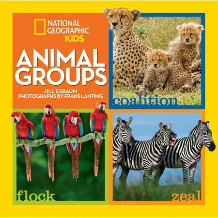 - Animal Groups