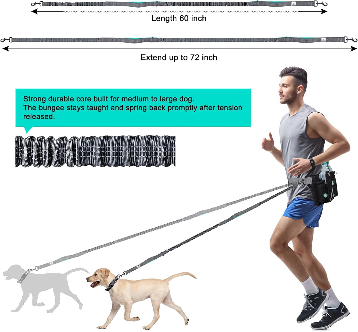 Retractable Hands Free Dog Leash with Dual Bungees for 2 Dogs, Adjustable Waist Belt Fanny Pack, Reflective Stitching Leash for Running Walking Hiking Jogging Biking Black