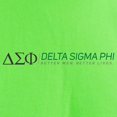thumbnail image 3 of CafePress - Delta Sigma Phi Color Logo T Shirt - Light T-Shirt - CP, 3 of 4