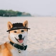 thumbnail image 5 of Hukapapa Perro Princesa Sombrero De Ala Redonda Mascota Sombrero De Béisbol Perro Malla Porosa CapblackS, 5 of 5