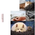 thumbnail image 4 of Brosse à Peluches pour Animaux, Rouleau à Peluches Autonettoyant Multifonctionnel Portable, Brosse à Cheveux Réutilisable pour Chats, Canapé, Chiens, Tapis, 4 of 5