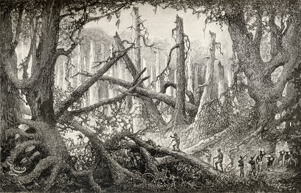 Sir Henry Morton Stanley And His Men Crossing A Hazardous Forest Clearing During His Emin Pasha Relief Expedition In Africa 1886 To 1889 From In Darkest Africa By Henry M Stanley Published 1890 Canvas