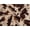 Cow Skin, variant on Minerva Velboa Faux Fur Fabric Tiger - per yard