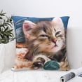 thumbnail image 4 of Wukai Playful Cat Premium Polyester Fleece Pillow Covers with Hidden Zipper Closure,Luxuriously Soft and Durable-12"x12", 4 of 7