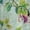 Green, variant on Fall Outfits For Women 2025 Summer Linen V Neck Shirt, Printed Casual Group Top, Exquisite Hemp 1pc, Multicolor XL, Size S-3XL