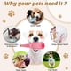 thumbnail image 4 of Dog Toy Water Bottle Cruncher Chew Bottle Toys for Dogs Plastic Water Bottle Chew Toys for Dogs with Ball, 4 of 5