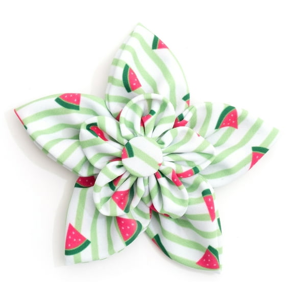 Stripe Watermelon Flower