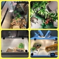 thumbnail image 5 of Lámpara de calor para reptiles, luz para acuario de tortugas, soporte para lámpara de calor para tortugas con 3 focos de luz solar UVA/UVB para reptiles y anfibios (blanco, 25 W), 5 of 5