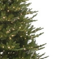 thumbnail image 2 of KSA 9' Pre-Lit Frasier Fir Artificial Christmas Tree, Warm White LED Lights, 2 of 2