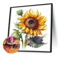 thumbnail image 2 of Diamond Painting 5D DIY Full Round Drill Girasol Kit Decoración del hogar (ZQ121) FLhrweasw Nuevo, 2 of 9