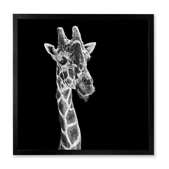Designart 'Close Up Portrait Of A Giraffe On Black II' Farmhouse Framed Art Print
