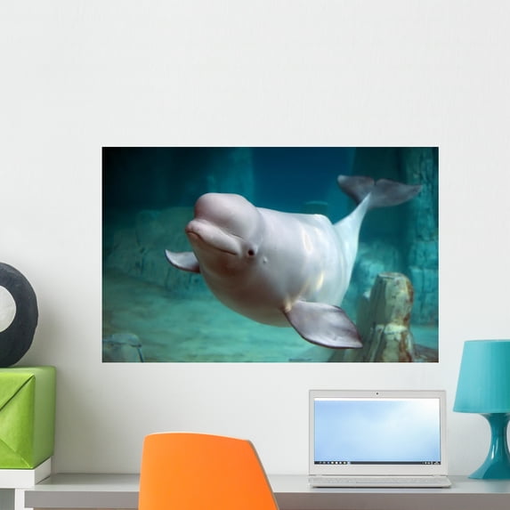 Beluga Whale Wall Mural by Wallmonkeys Peel and Stick Graphic (24 in W x 15 in H) WM354378