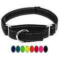 thumbnail image 2 of Country Brook Petz® Black Reflective Nylon Martingale Dog Collar, Extra Large, 2 of 6