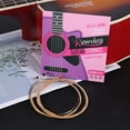 thumbnail image 1 of BotaniNest Acoustic Guitar Strings Set For Folk & Classical Guitars Replacement Strings For Optimal Sound & Durability Compatible With Most Wooden Guitars, 1 of 4