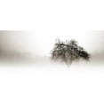 thumbnail image 3 of Hausenflock, Alan 14x8 Black Modern Framed Museum Art Print Titled - In the Mist I, 3 of 5