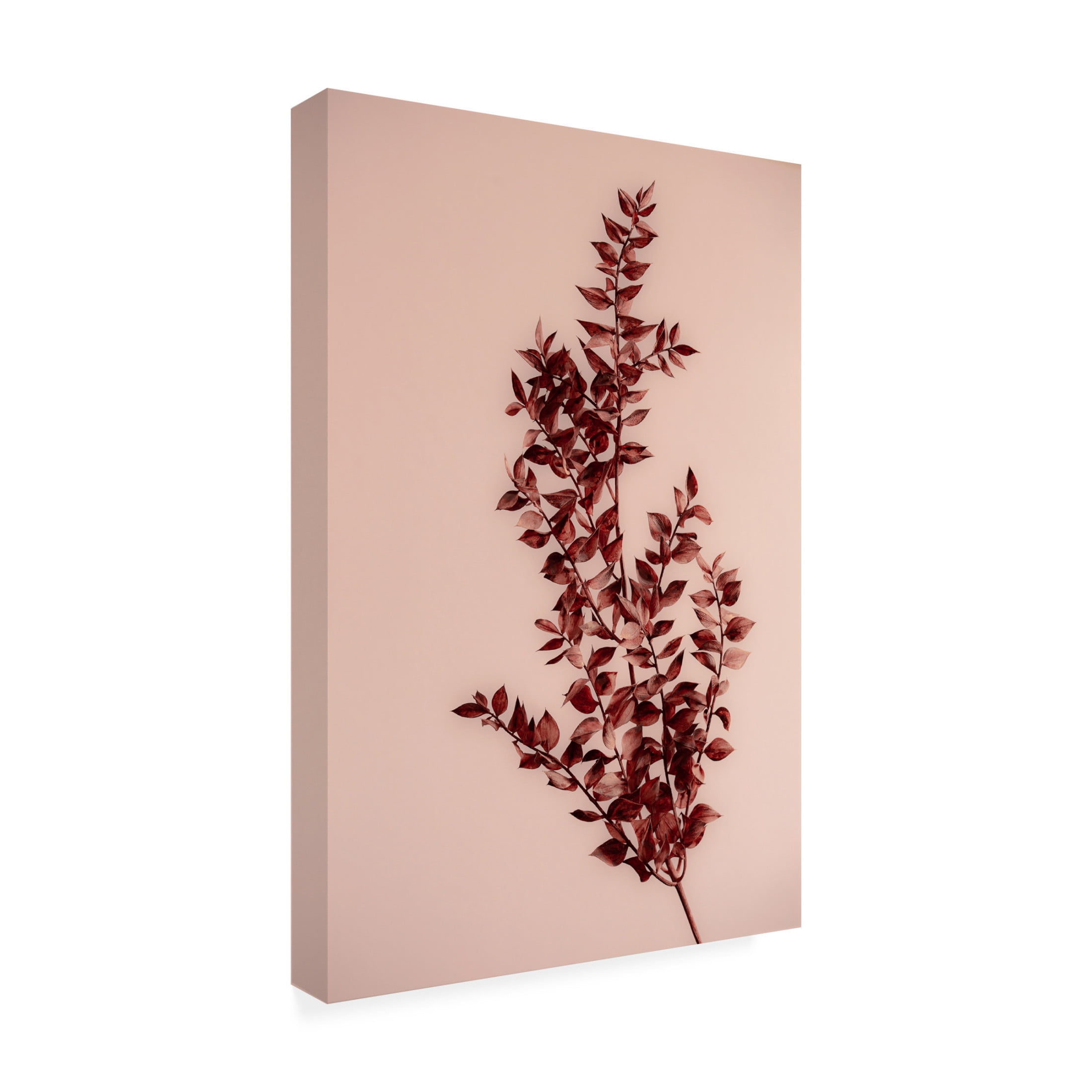 Trademark Fine Art Mareike Bohmer Last Summer 18 Canvas Wall Art