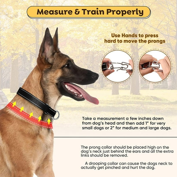 German pinch collar for dogs sales