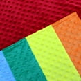 thumbnail image 3 of Luxury Minky Dot Plush Rainbow Flag Throw Blanket, 39" x 57", 3 of 8