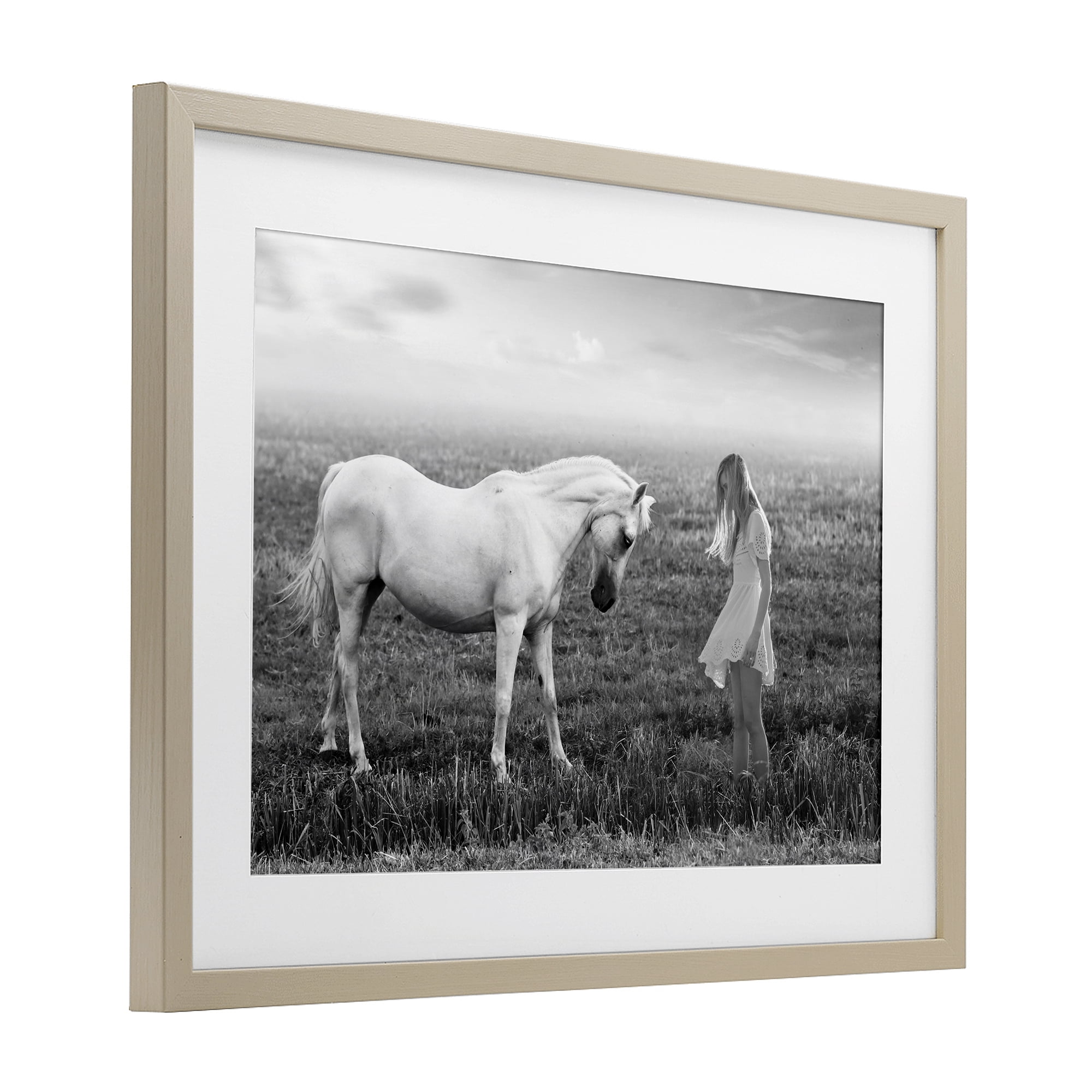 Her White Horse Birch Framed Print Under Glass, design by Ata Alishahi