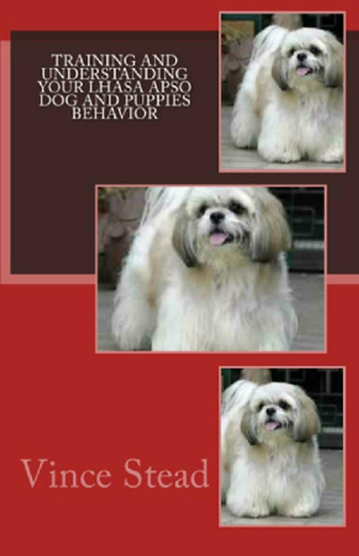 Training And Understanding Your Lhasa Apso Dog Puppies Behavior Ebook Training And Understanding Your Lhasa Apso Dog Puppies Behavior Ebook