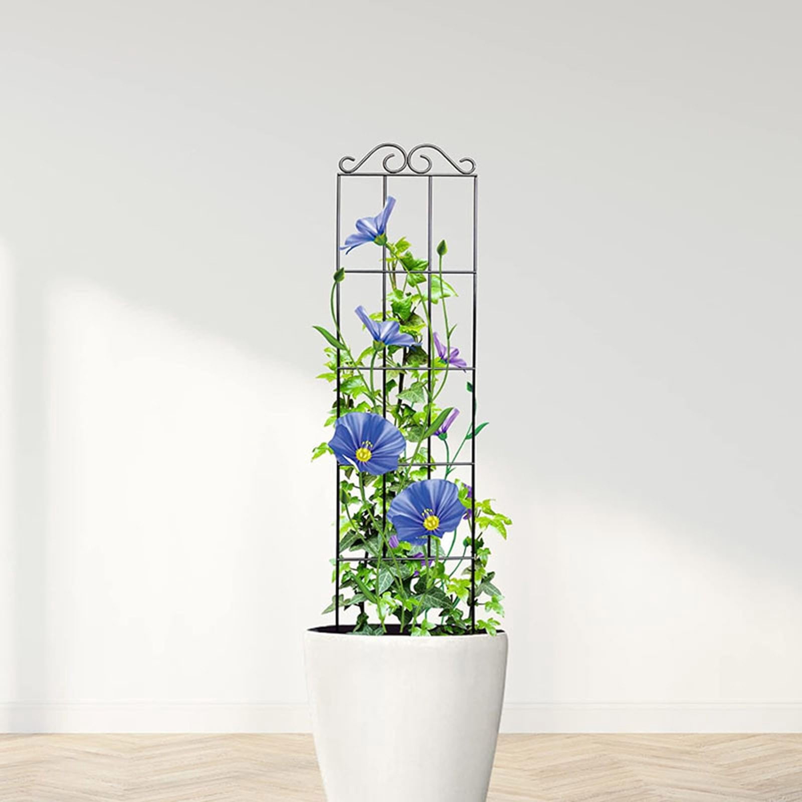 LYCAQL 4 Pcs Garden Vine Trellis Mini Climbing Trellis Trellis for Garden T-shaped Flower Stand Grid