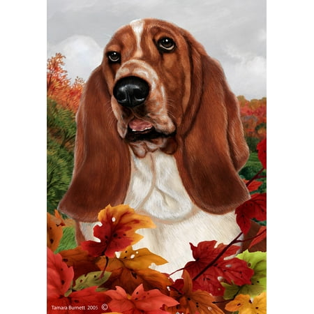 Basset Hound  - Best of Breed Fall Leaves Garden