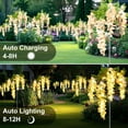 thumbnail image 3 of Rirool 2 Pack Solar Wisteria Flower Lights, Waterproof Outdoor LED Lights for Garden, Patio, Yard, Pathway Decor, Warm White, Easy Install, Yellow, 3 of 8