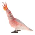 thumbnail image 3 of s de animales salvajes/naturales con gran detalle, modelo de pájaro, juguete educativo novedoso para niños Zulema Modelo animal realista, 3 of 7