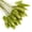 Green, variant on 50Pcs Natural Dried Lagurus ovatus, Boho Home Decor Bouquet, Artificial Dried Bunny Tails Pampas for Dried Flowers Arrangements Wedding Bathroom Home Decor