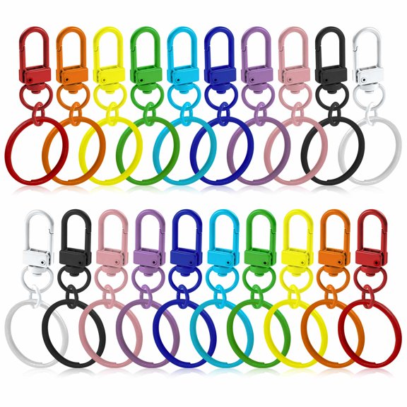 Carabiner Keychain Set 50 Pieces 25mm Metal Split Rings with Swivel Clasps in 10 Colors for DIY Keychains
