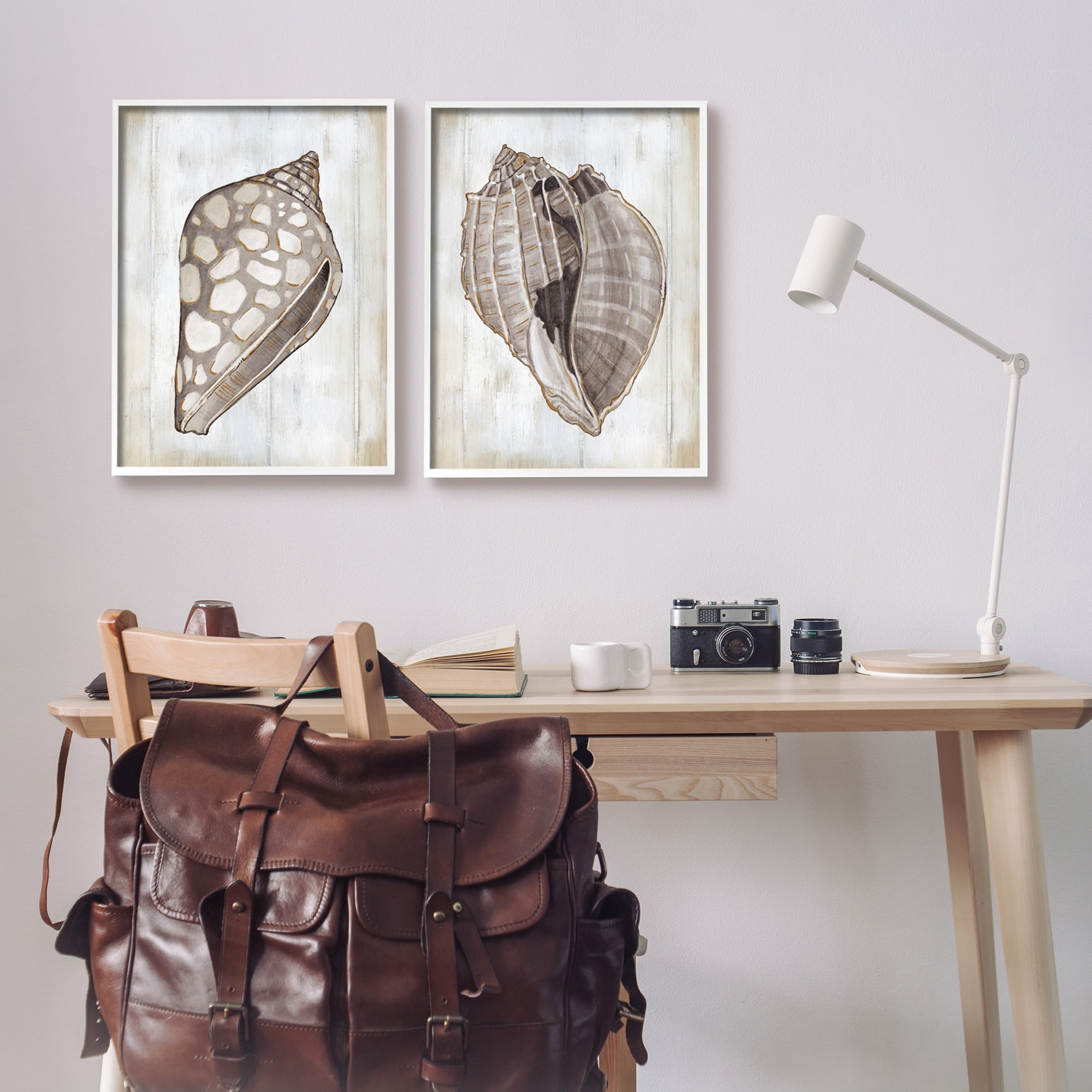 Stupell Industries Spotted Seashell Rustic Marine Life Beach Sign Graphic Art White Framed Art Print Wall Art, Set of 2, Design by Carol Robinson