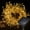 Warm White, variant on Solar Fairy Lights - 4.92Ft 50 LED Waterproof Solar Firecracker Lights with 8 Modes- Outdoor Christmas String Lights for Garden- Wedding- Party Decor.