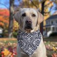 thumbnail image 2 of Dog Bandana 1 Pack,Blue and White Abstract Pattern Bandanas for Dogs,Cat Bandana,Small/ Large Dog Bandana 2 Size,Dog Bandanas Girl Boy, 2 of 5