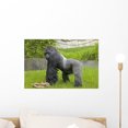 thumbnail image 1 of Gorilla 2 Wall Mural by Wallmonkeys Peel and Stick Graphic (18 in W x 12 in H) WM22687, 1 of 4