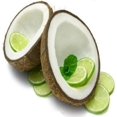 thumbnail image 2 of Coconut Lime Verbena 64 oz Bottle for Candle Making, Soap Making, Tart Making, Room Sprays, Lotions, Car Fresheners, Slime, Bath Bombs, Warmers, 2 of 4