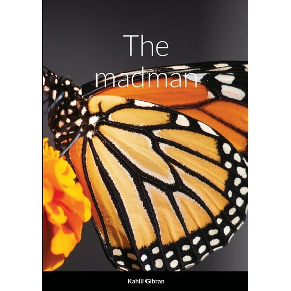 The madman (Paperback)