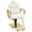 White, variant on BarberPub Vintage Salon Chair Hydraulic Beauty Spa Styling Golden 3078