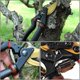 thumbnail image 5 of Stainless Steel Pruning Shears Fruit Tree Cutting Shear Cutter Pruning Shears Scissors Tree Hand Pruning Shears for Garden Yard, 5 of 5