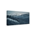 thumbnail image 2 of Trademark Fine Art 'Winter Valley Elk' Canvas Art by Ron Parker, 2 of 3