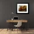 thumbnail image 4 of Robert Melvin Decker 24x20 Black Modern Framed Museum Art Print Titled - Adirondack Foliage, 4 of 5