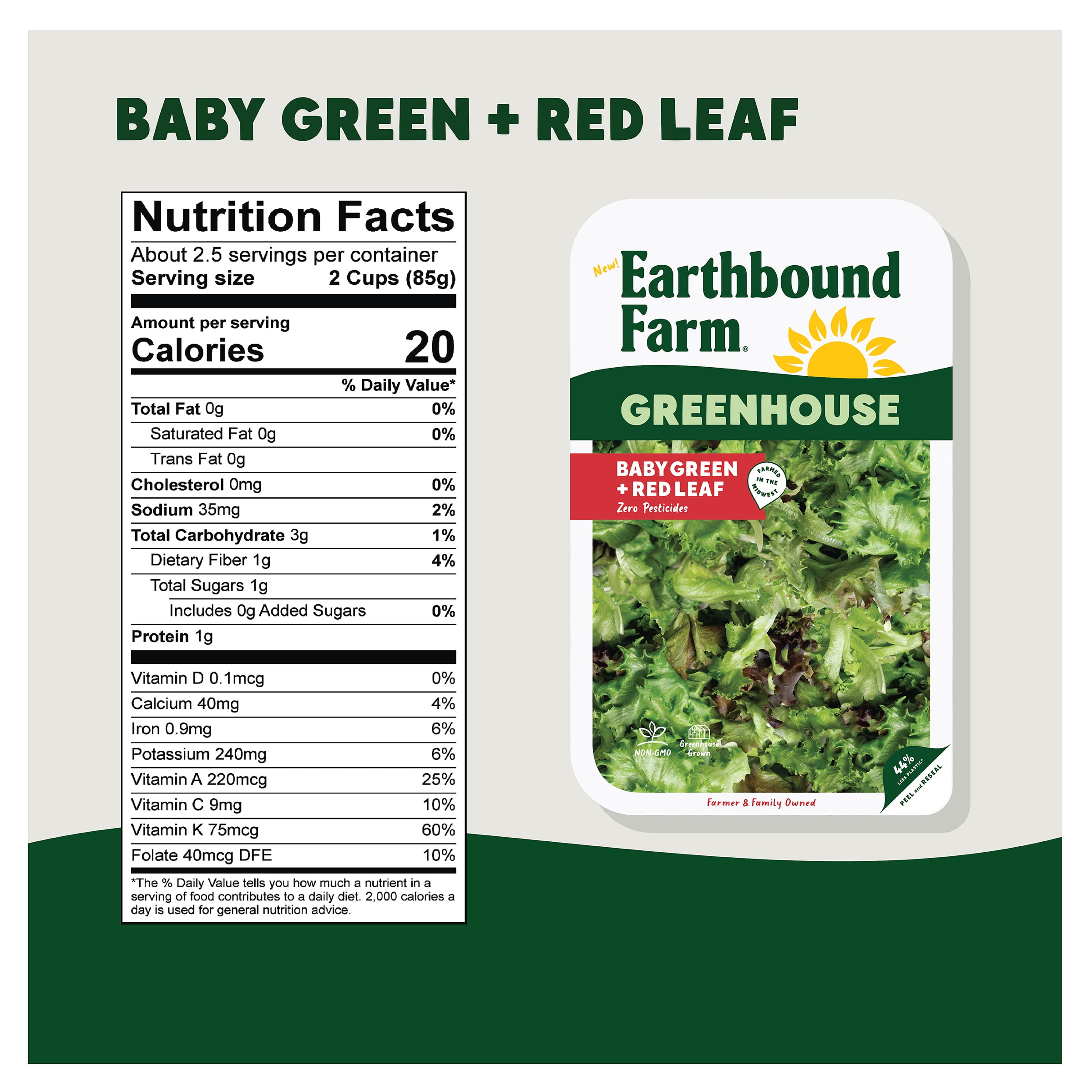 Earthbound Farm Greenhouse Baby Green Red Leaf 8oz