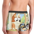thumbnail image 7 of Lsque Bluey Pattern Men’s Total Support Pouch Boxer Briefs, X-Temp Cooling, Moisture-Wicking Underwear, Regular, Long-leg and Trunk-Small, 7 of 7